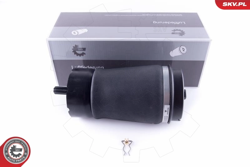 Air Spring, suspension